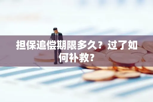 南京担保追偿期限多久?过了如何补救?